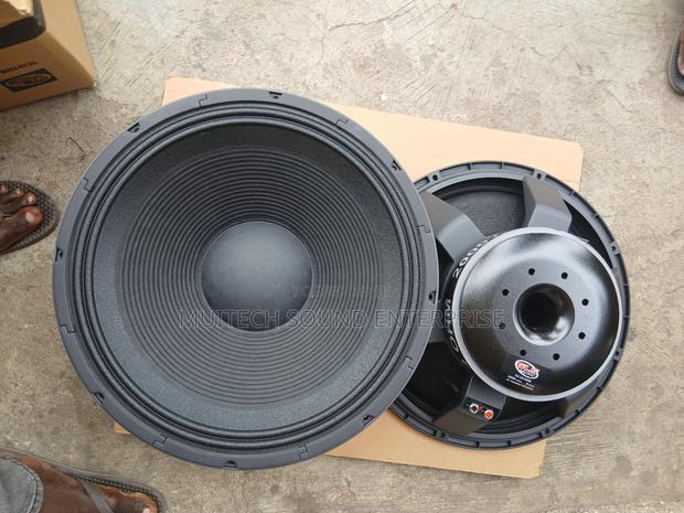 Titanic Naked Speaker (18 Inches) 2000watt · Photo 3