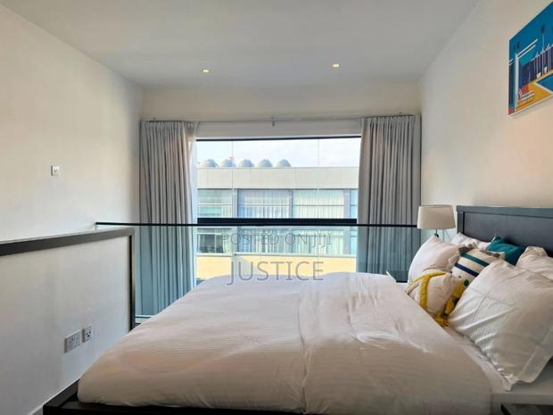 Furnished 1bdrm Apartment in Cantonments, US Embassy Area for rent · Photo 3