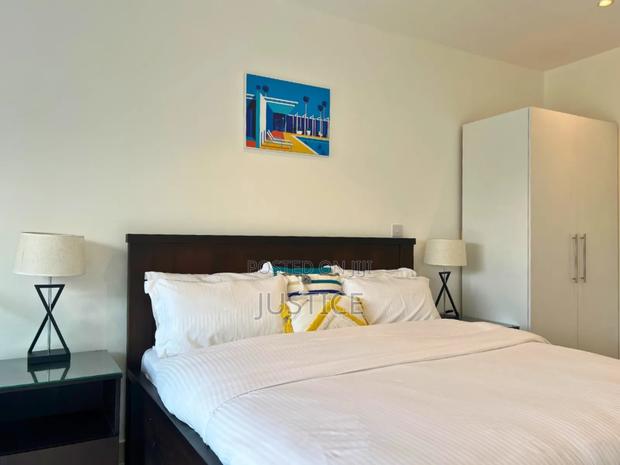 Furnished 1bdrm Apartment in Cantonments, US Embassy Area for rent · Photo 4