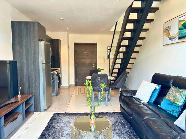 Furnished 1bdrm Apartment in Cantonments, US Embassy Area for rent · Photo 5