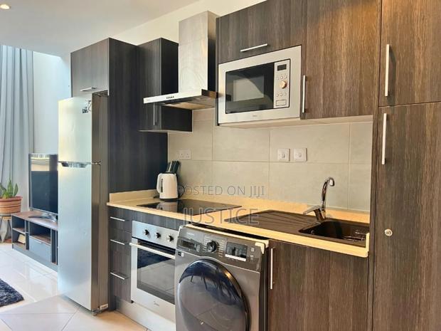 Furnished 1bdrm Apartment in Cantonments, US Embassy Area for rent · Photo 6