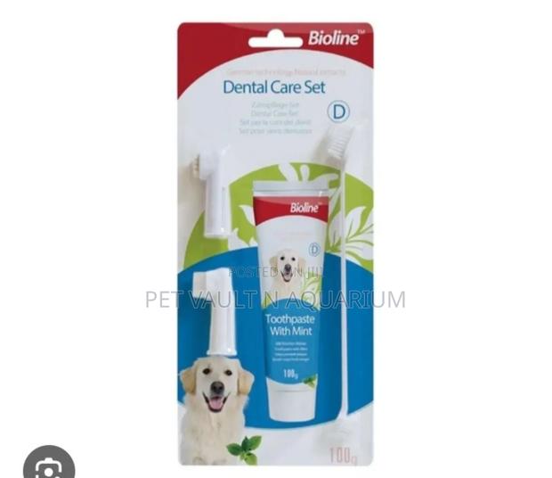 Dental Care for Dogs · Photo 1