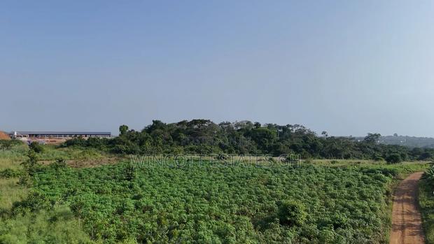Farmland Winneba Swedru Rd