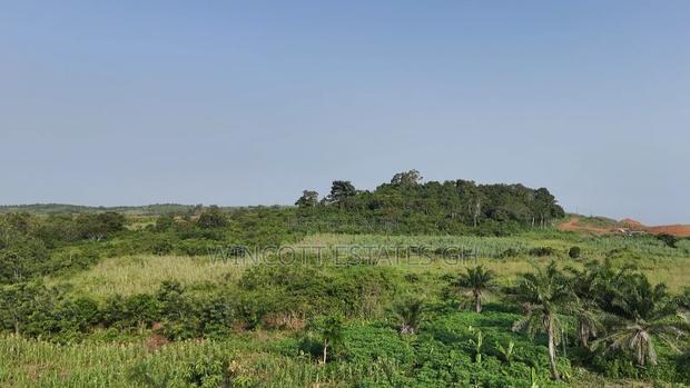 Farmland Winneba Swedru Rd · Photo 2