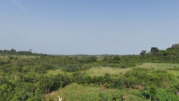 Farmland Winneba Swedru Rd · Photo 3