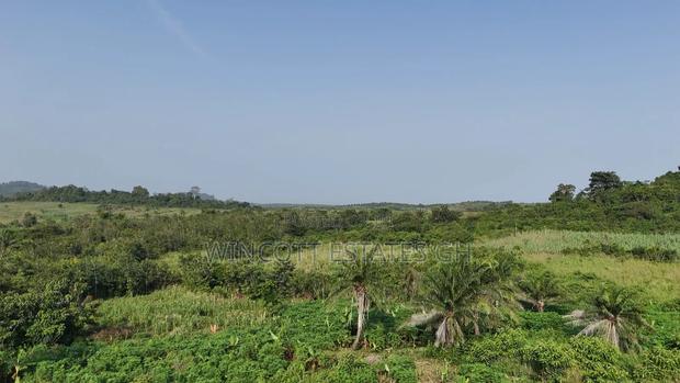 Farmland Winneba Swedru Rd · Photo 4