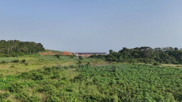 Farmland Winneba Swedru Rd · Photo 5