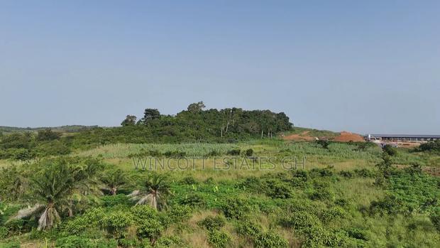 Farmland Winneba Swedru Rd · Photo 6