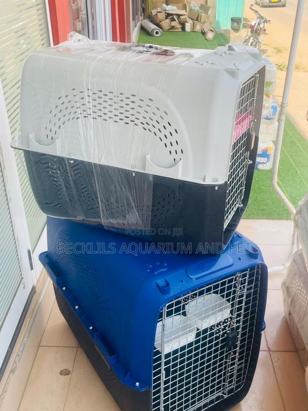 XXL Luxury Plastic Flight Cage · Photo 3