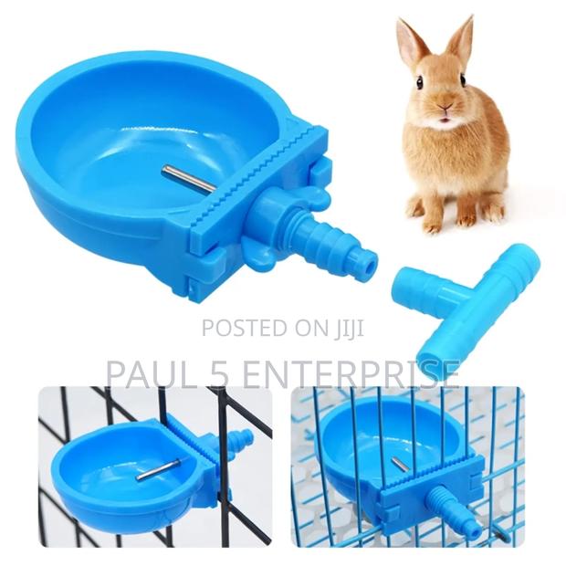 Wholesale and Retail Rabbit Drinking Cup · Photo 1