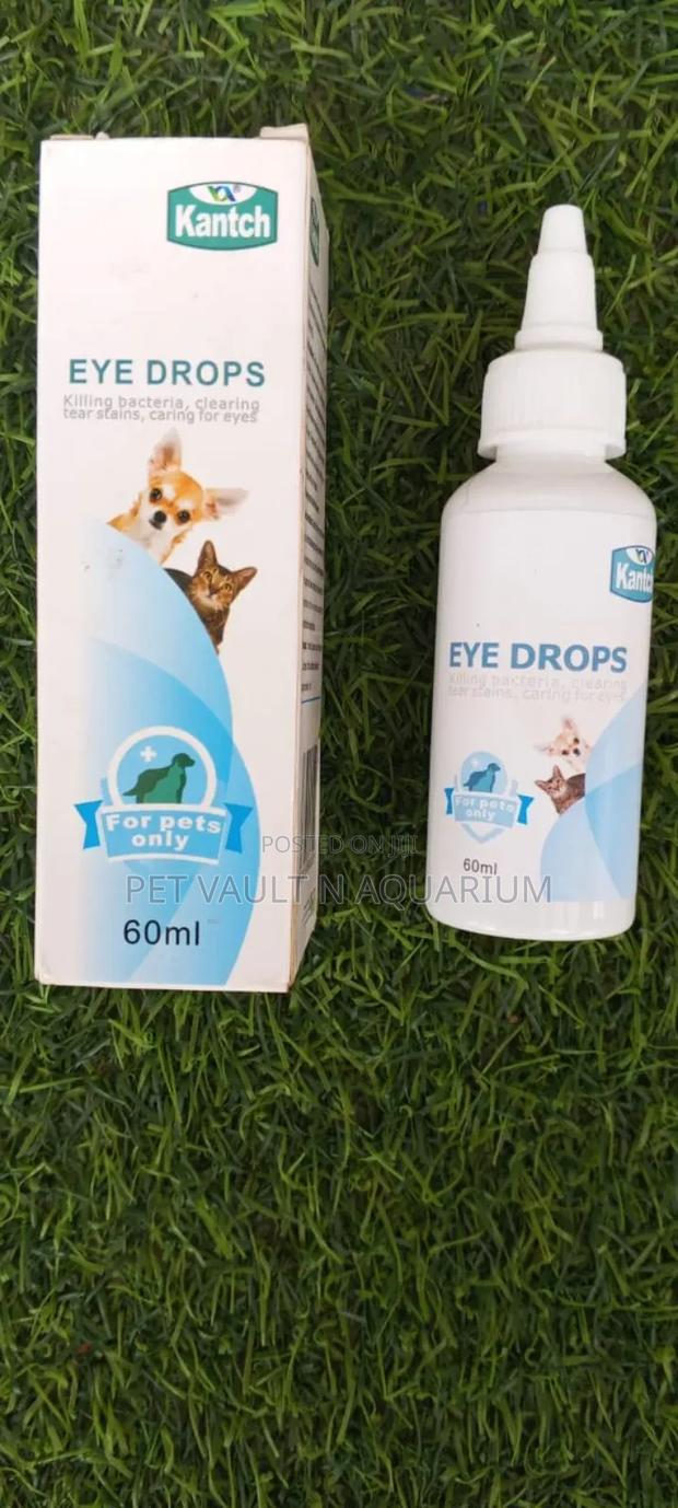 Eye Drop for Pets · Photo 1