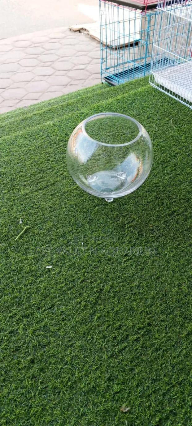 Glass Fish Bowl Medium · Photo 1