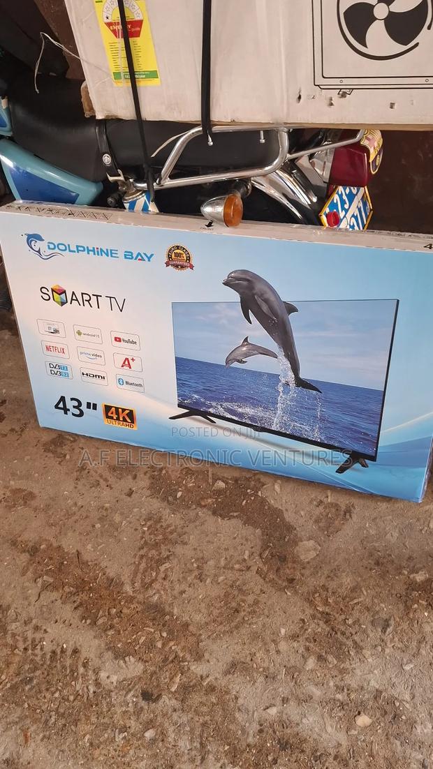 Dolphine Bay 43-Inch Smart Tv · Photo 2