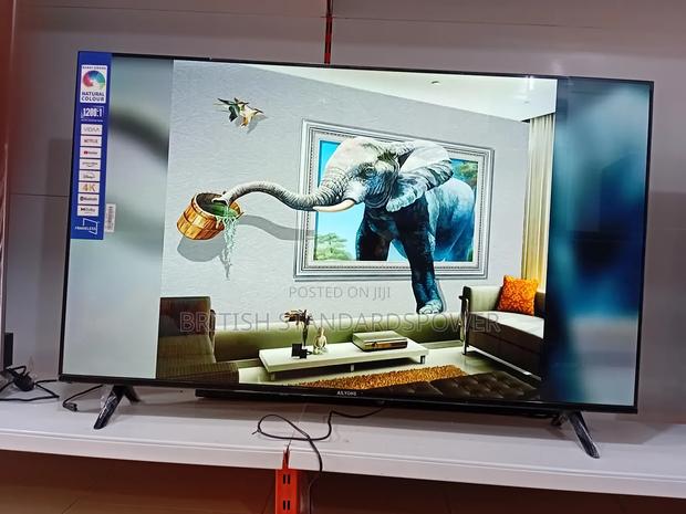 Smart Viewing Made Simple Ailyons 55 · Photo 2