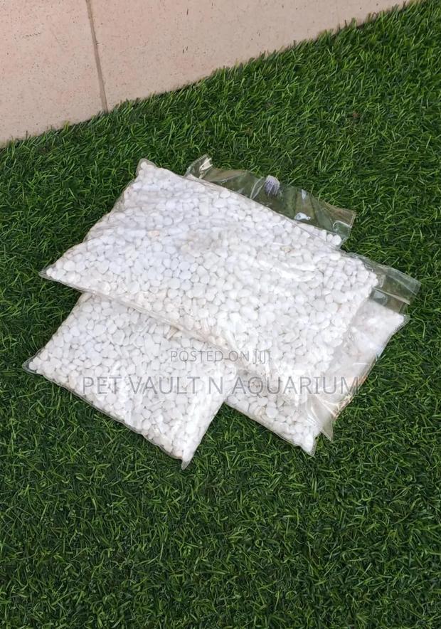 White Pebbles For Aquarium · Photo 1