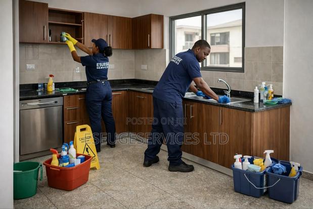 Move-Out and Move-in Cleaning · Photo 1