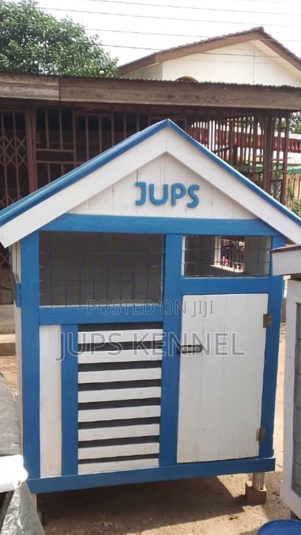 Dog House (Dog Kennels) · Photo 1