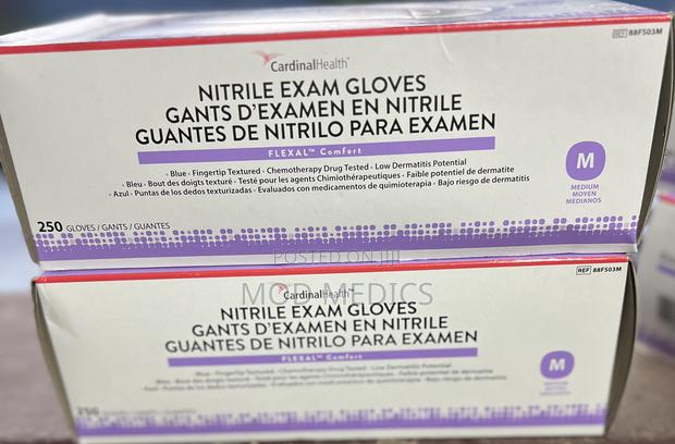 Ntrile Exam Gloves (250pcs) · Photo 1