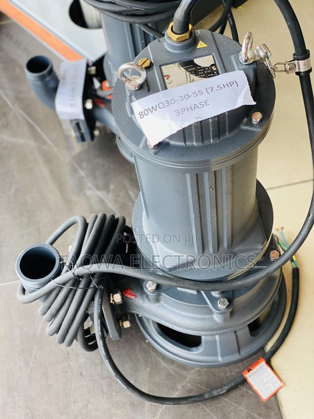 80wq20-30-5.5 Leo 7.5hp Sewage Pump · Photo 1