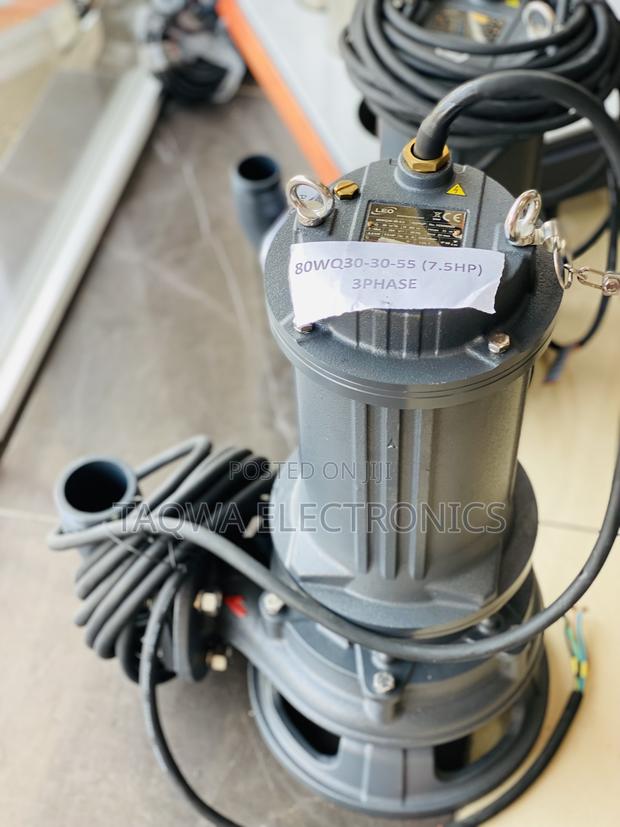 Sewage Water Pumps-7.5hp( 80wq30-30-5.5) Leo · Photo 1