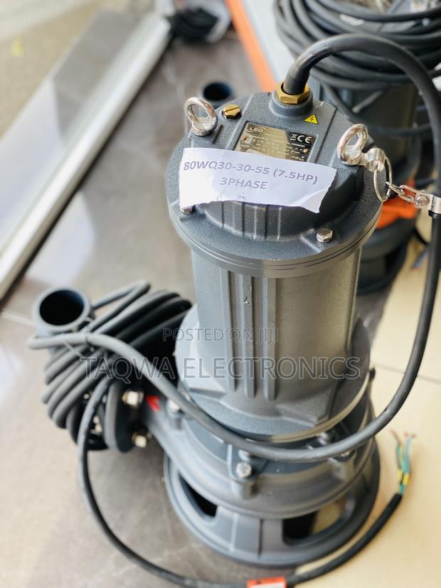 Leo European Standard 7.5hp Sewage Pump · Photo 1