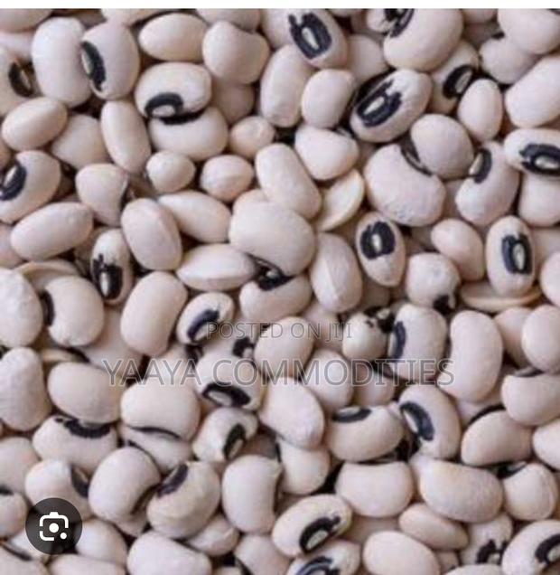 Bean - Organic