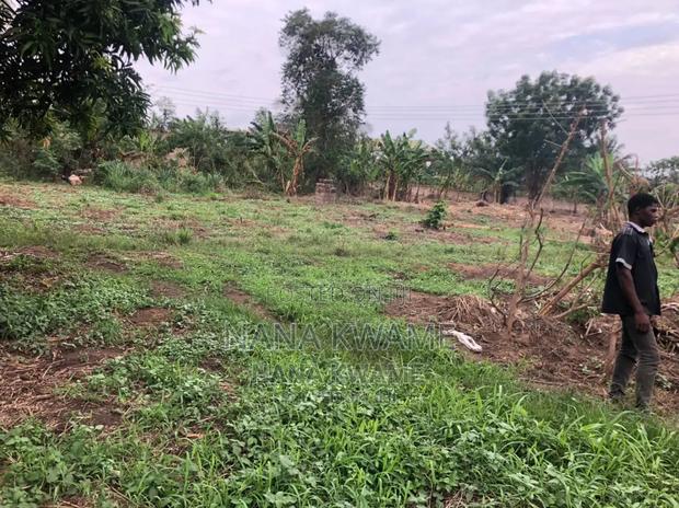 Registered 2 Plots of Land · Photo 3