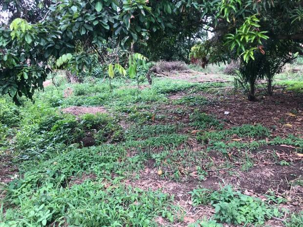 Registered 2 Plots of Land · Photo 4