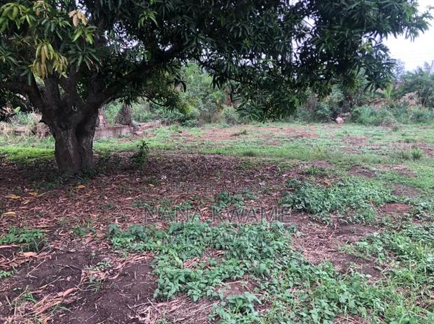 Registered 2 Plots of Land · Photo 5