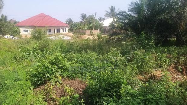 One Plot Single Room on Land for Sale at Opeikuma Polytank Road · Photo 4
