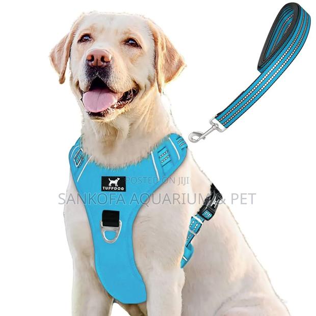 Dog Harness · Photo 1