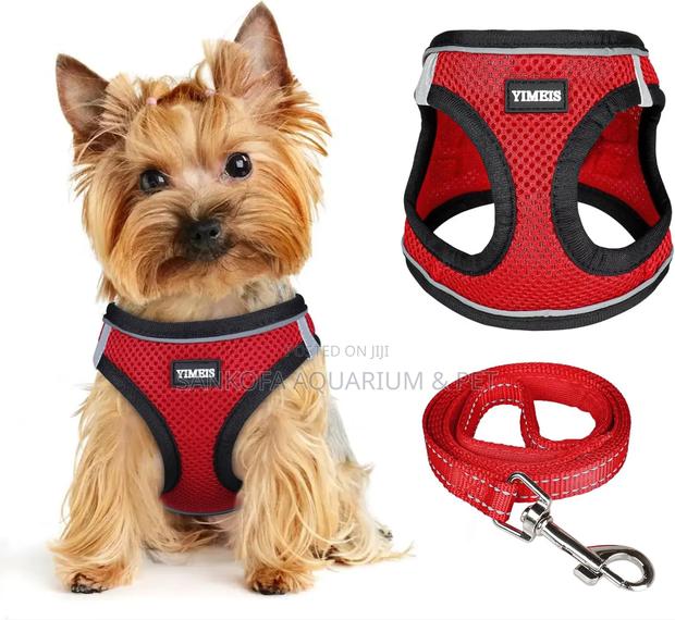 Dog Harness · Photo 2