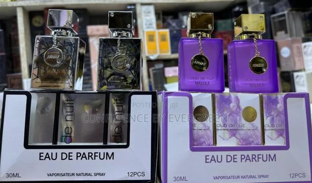 Club De Nuit 30ml (Sillage and Maleka) · Photo 1