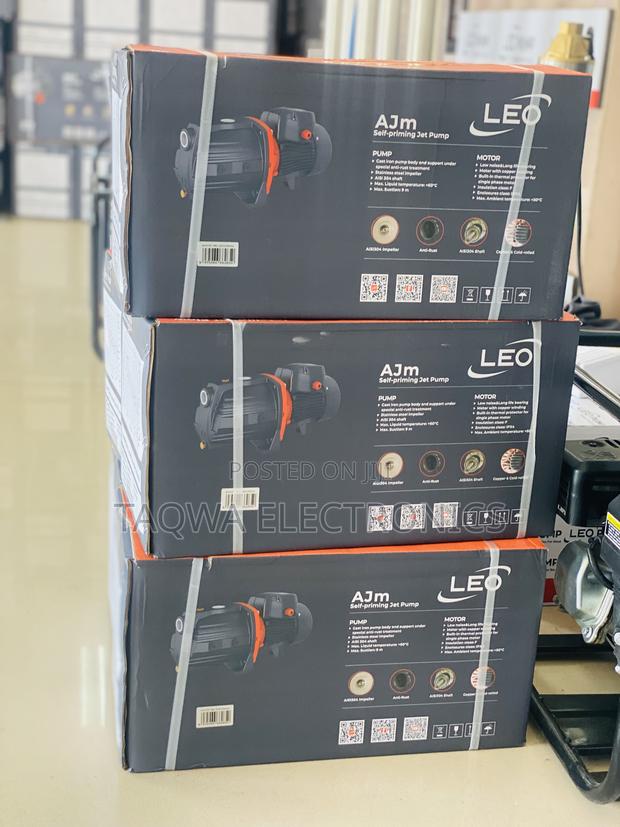 Electric Ajm75-Leo 1hp Cast Pump · Photo 1