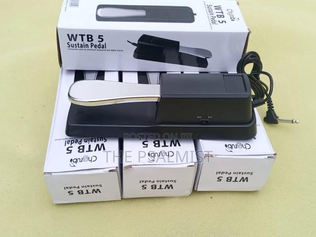 Cherub Wt-005 Sustain Pedal Multi Use · Photo 1