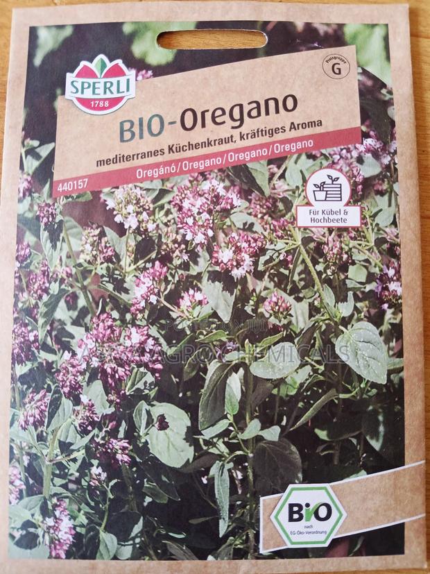 Oregano Seeds · Photo 4