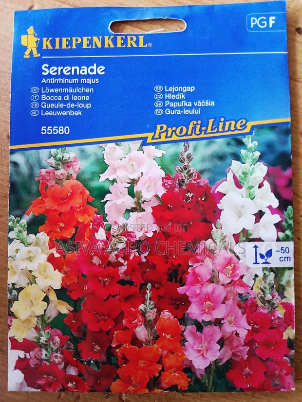 Snapdragon (Serenade) Flower Seeds · Photo 1