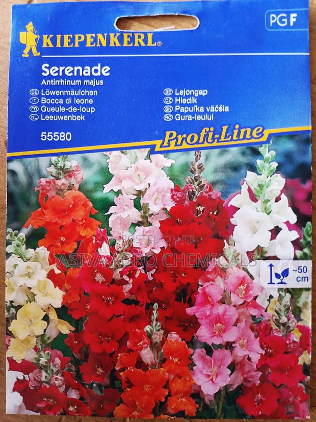 Snapdragon (Serenade) Flower Seeds · Photo 2