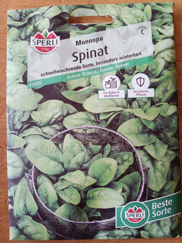 Spinach Seeds · Photo 1