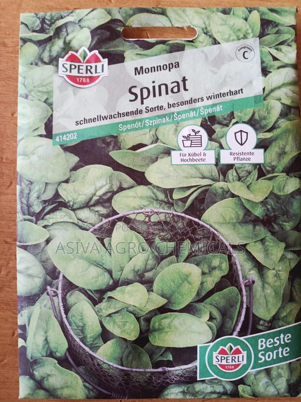 Spinach Seeds · Photo 2