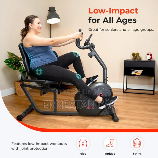 Recumbent Bike From Sunny Fitness, Uk · Photo 6