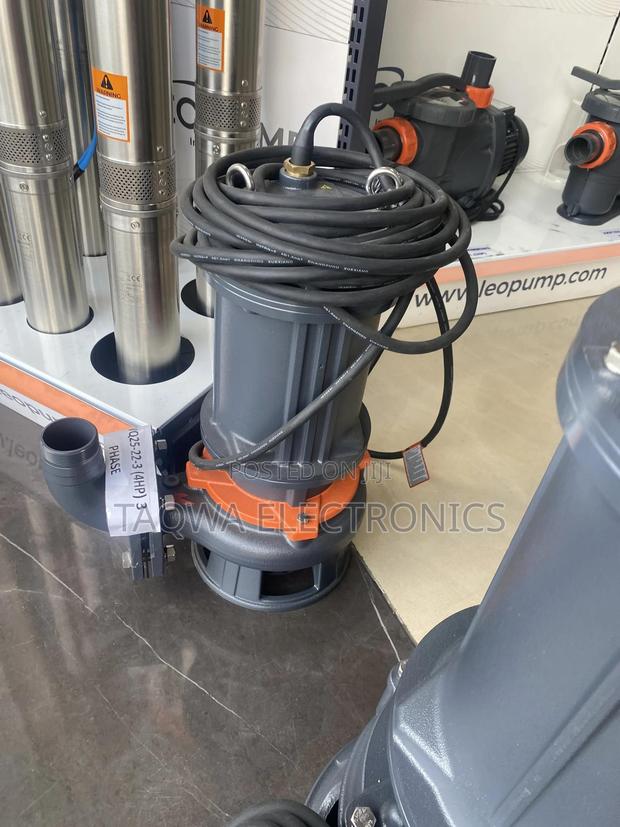 65wq25-22-3 Leo 4hp Sewage Pump · Photo 1