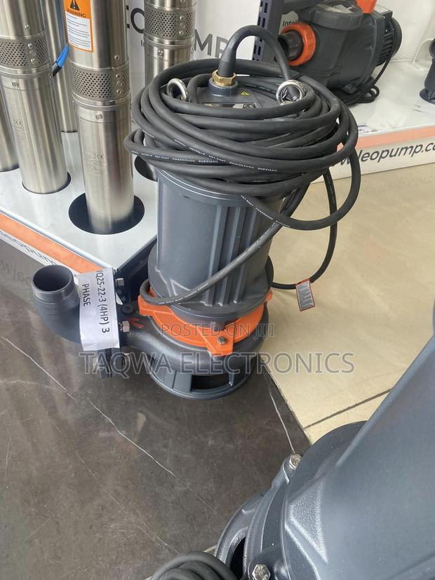 Most Efficient Sewage 4hp Pump (65wq25-22-3) · Photo 1