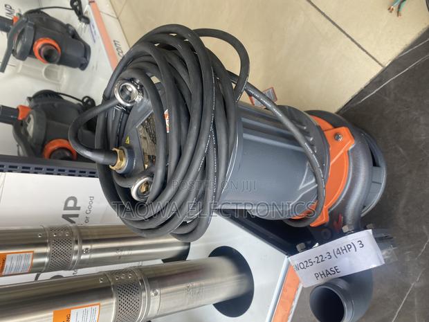 Daring)Leo 65wq25-22-3 Sewage 4hp Pump · Photo 1
