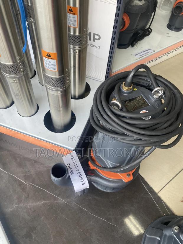 4hp -3-phase Leo Sewage Water Pump · Photo 1