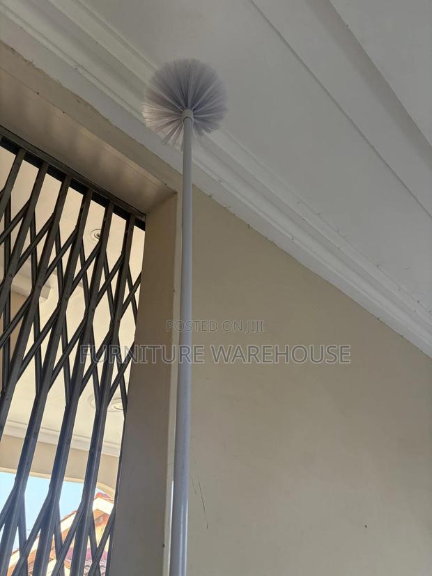 Cobweb Brush · Photo 4