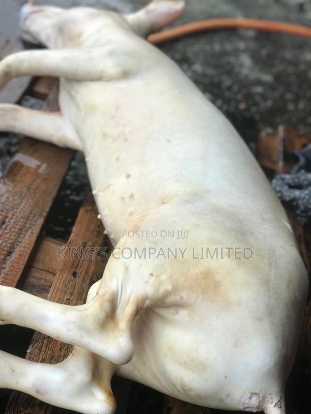 Fresh Pork · Photo 3