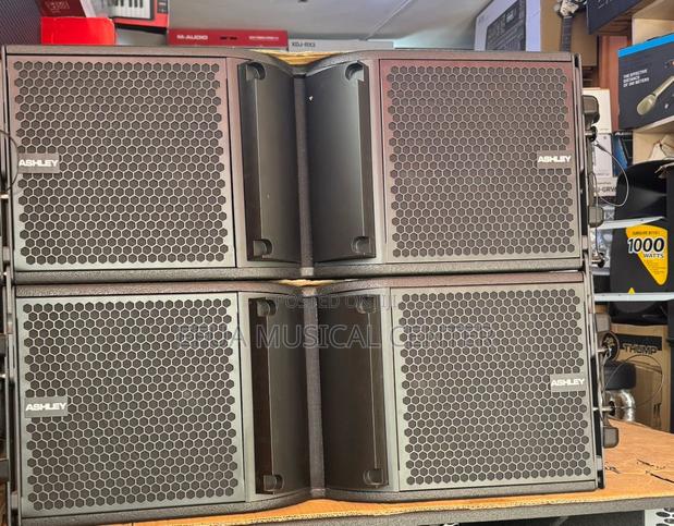 Ashley 12inches Line Arrey Speakers · Photo 1