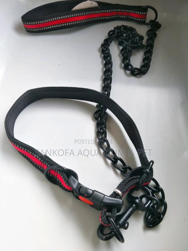 Quality Chain Leah With Collar · Photo 1