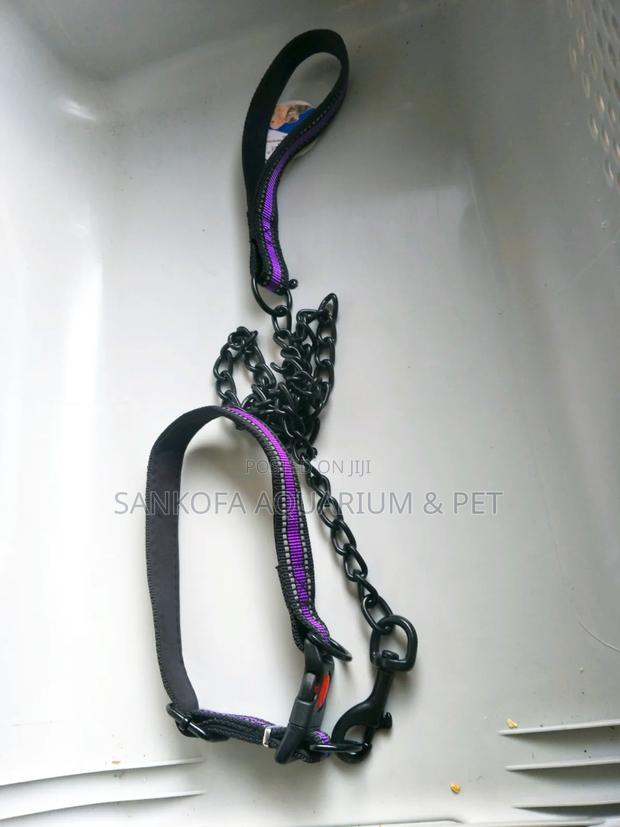 Quality Chain Leah With Collar · Photo 2